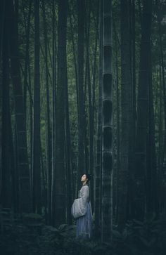 a woman standing in the middle of a forest with her back turned to the camera