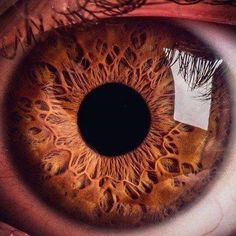 an extreme close up shot of the iris of a human eye