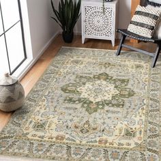 a living room area with a rug, chair and potted plant