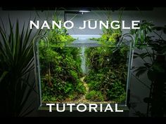 an aquarium filled with plants and water in front of a sign that reads nano jungle