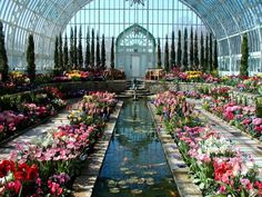 the inside of a large greenhouse filled with lots of flowers and water in it's center