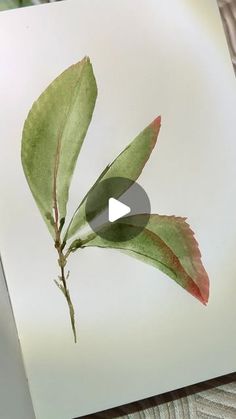 a leaf is shown on top of a piece of paper