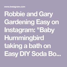 the text robbie and gary gardening easy on instagram baby hummingbird taking a bath on