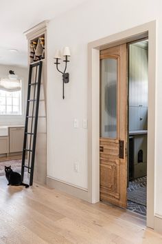 a black cat sitting on the floor next to a wooden door with a ladder in front of it