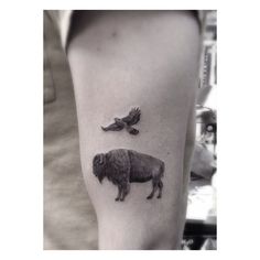 a bison and an eagle tattoo on the arm