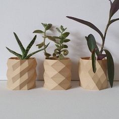 three planters with plants in them sitting on a table next to each other and one is made out of cardboard