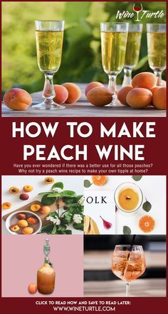 how to make peach wine with the help of an expert's guide for beginners