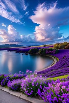 purple flowers are blooming along the side of a lake