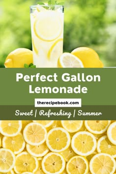 1 Gallon Lemonade Lemonade Recipe Large Batch, Country Time Lemonade Recipe Party Ideas, Lemonade Recipe Using Bottled Lemon Juice, Lemonade Stand Lemonade Recipe, Old Fashion Lemonade Recipe, Juicer Lemonade Recipe, Homade Lemonade Recipe, Countrytime Lemonade Recipe, Big Batch Lemonade Recipe