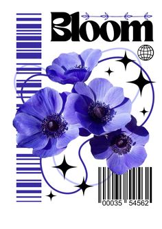 the front cover of bloom magazine with three purple flowers