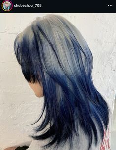 Silver Hair With Blue Tips, Blue White Hair Color, Blue Hair With Black Tips, Hair Inspo Color Blue, Gray And Blue Hair, Blue Raccoon Tail Hair, Dark Blue And Blonde Hair, Ash Blue Hair Color, Grey And Blue Hair