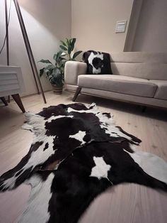 black and white cowhide rug on the floor in front of a couch with lamp next to it