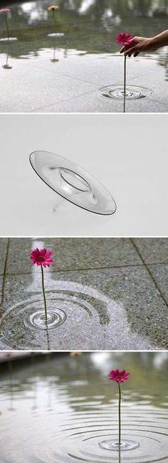 three different shots of water with flowers in the middle and on the bottom, one is upside down