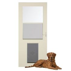 a brown dog laying in front of a white door with a window on it's side