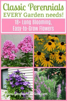 the cover of an easy guide to growing flowers