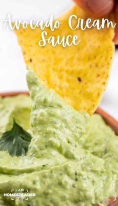 an avocado cream sauce in a bowl with a tortilla chip