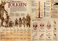 an open book with pictures and text about the different types of characters on it, including skeleton