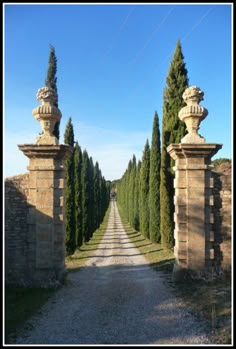 an old stone gate leading into the distance with trees lining both sides on either side