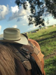 a horse with a hat on it's back in the grass near a tree