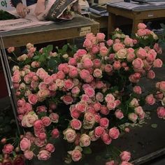 a bunch of pink roses are on display in a flower shop, and one is laying down