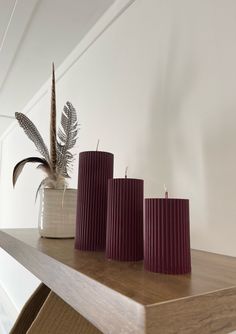 three candles are sitting on a shelf next to a potted plant and some feathers