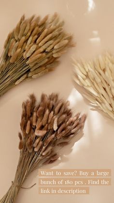 three dried flowers sitting on top of a table