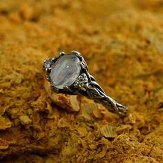 a ring sitting on top of a rock covered in leaves and stones with an oval stone surrounded by smaller rocks