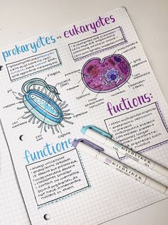 Biology notes on eukaryotes and prokaryotes Aesthetic Notes For Biology, Bio Aesthetic Notes, Aesthetic Notes Biology Cells, Pre Med Notes Aesthetic, Notebook Study Ideas, Science Poster Ideas Aesthetic, Biology Notes Prokaryotes And Eukaryotes, Bacteria Notes Aesthetic, Biology Unit 1 Notes