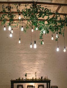 an image of a room with lights hanging from the ceiling and plants growing on the walls