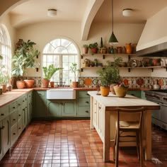 a kitchen filled with lots of potted plants