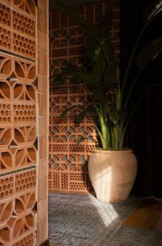 Terracotta Brick, Breeze Block Wall, Bedroom Wall Decor Ideas, Screen Wall, Hacienda Style, Wall Decor Ideas, Bedroom Wall Decor, Brick Design