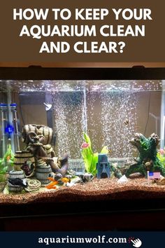 How to keep your aquarium clean and clear Cool Fish Tank Decorations, Aquarium Algae, Fish Tank Cleaning, Betta Fish Types, Diy Fish Tank, Cool Fish Tanks, Betta Aquarium, Indoor Water Garden