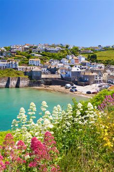 the coast is full of colorful flowers and houses