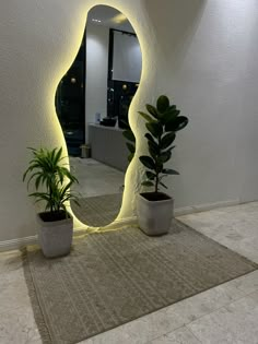 there is a mirror and two plants in the middle of the room with lights on