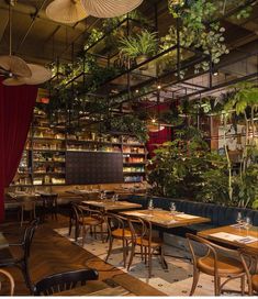 the interior of a restaurant with tables, chairs and plants hanging from the ceiling above