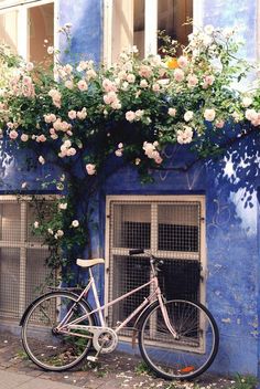 a bicycle parked in front of a blue building with flowers growing on it's side