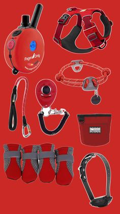 an assortment of dog supplies including harnesses, collars and leashes on a red background