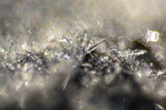 the sun shines on some grass with water droplets and snow flakes in the foreground