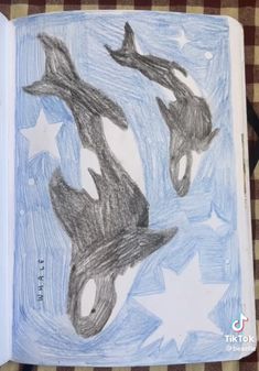 an open book with drawings of two dolphins and stars on the pages, which are drawn in pencil