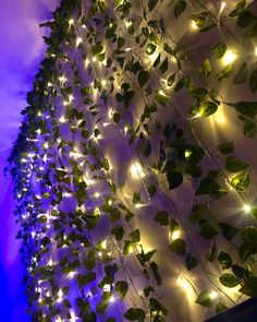 a wall covered in vines and lights with green leaves growing on the side of it