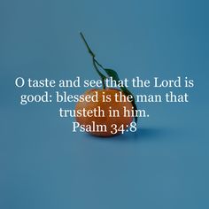 an orange on a blue background with the words, o taste and see that the lord is good