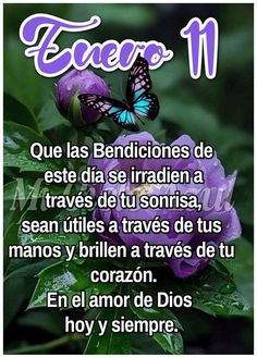 a purple flower with a blue butterfly on it and the words in spanish above it