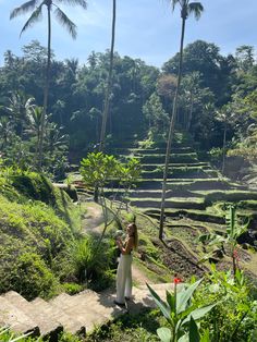 a woman standing on a path in front of some palm trees and rice terraces