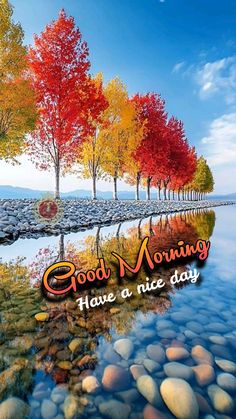 the words good morning have a nice day are in front of colorful trees and rocks