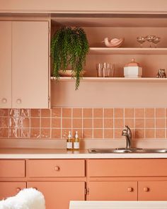 a kitchen with pink cabinets and white counter tops is pictured in this image, there are plants on the shelves above the sink