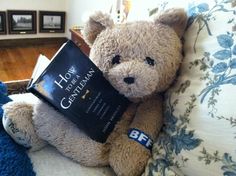 a brown teddy bear sitting on top of a bed holding a book