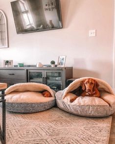 a dog is laying in its bed on the floor next to a table and dresser