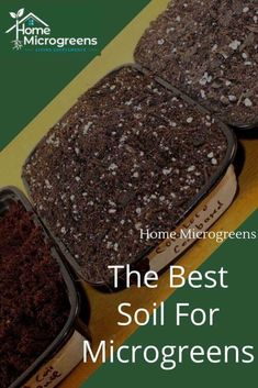 the best soil for microgreens and how to use it in your home garden