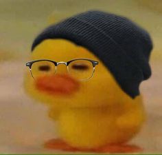 a yellow rubber duck wearing glasses and a beanie