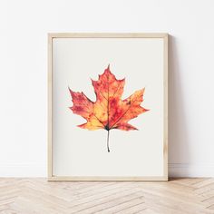 an orange maple leaf is displayed in a wooden frame on the floor next to a white wall